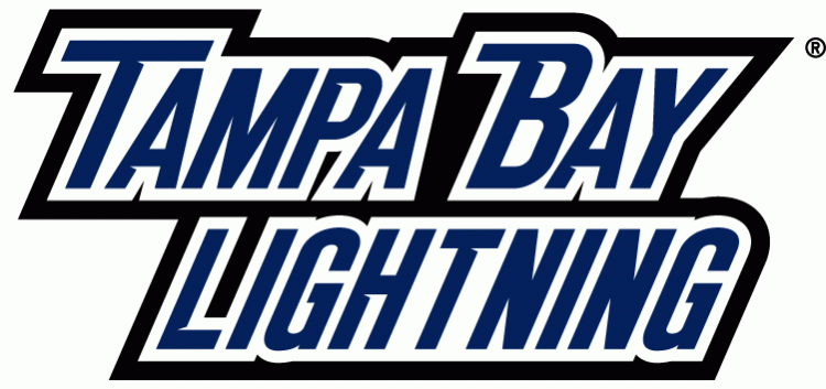 Tampa Bay Lightning 2011 Wordmark Logo iron on transfers for T-shirts